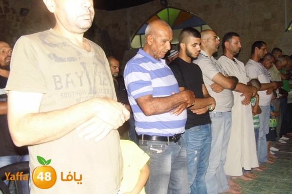 kaber trawe7 718 (24).JPG